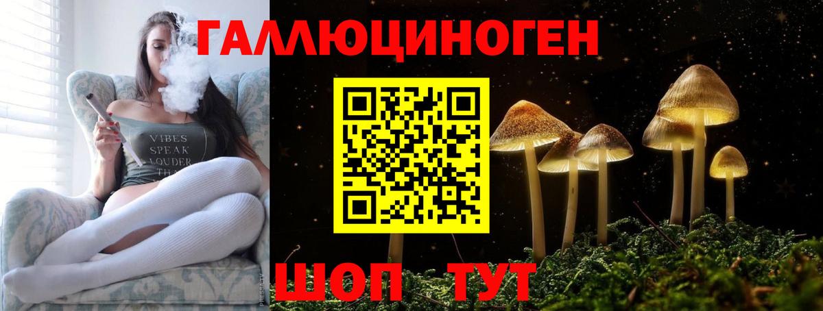 Галлюциногенные грибы MAGIC MUSHROOMS  Вход с VPN  Георгиевск 