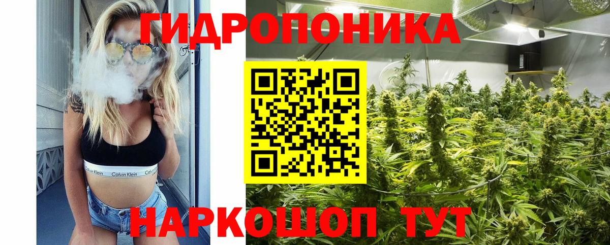 Канабис SATIVA & INDICA Георгиевск